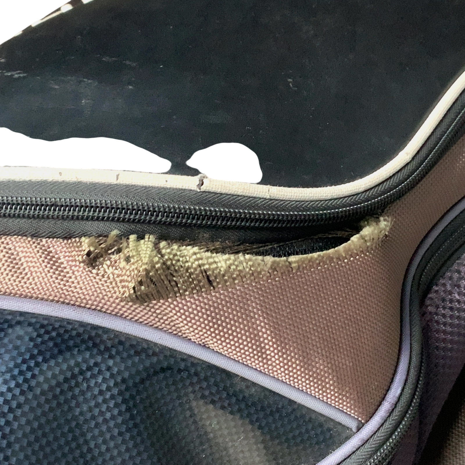 Golf Copenhagen Golf Bag / 11-Rum / Sort